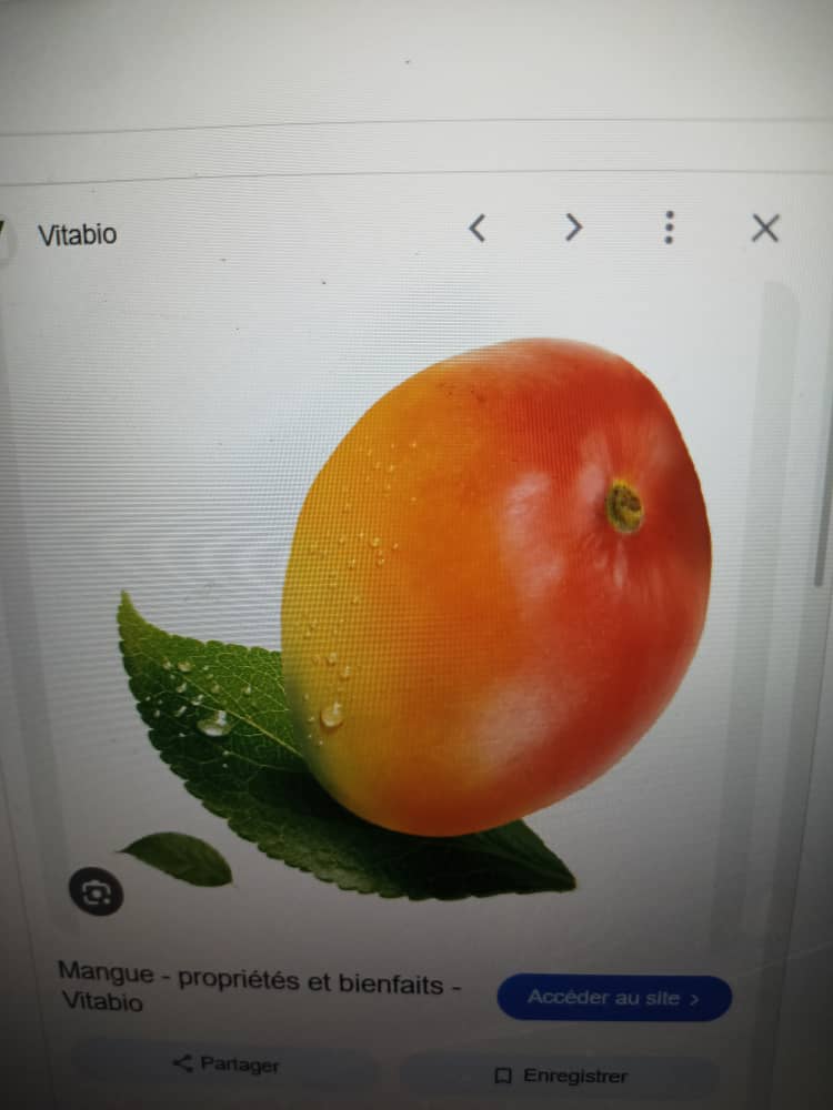 Mangue séchée